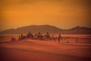 Tantangan & Upaya Keberlanjutan Kondisi Iklim di Dunia Arab